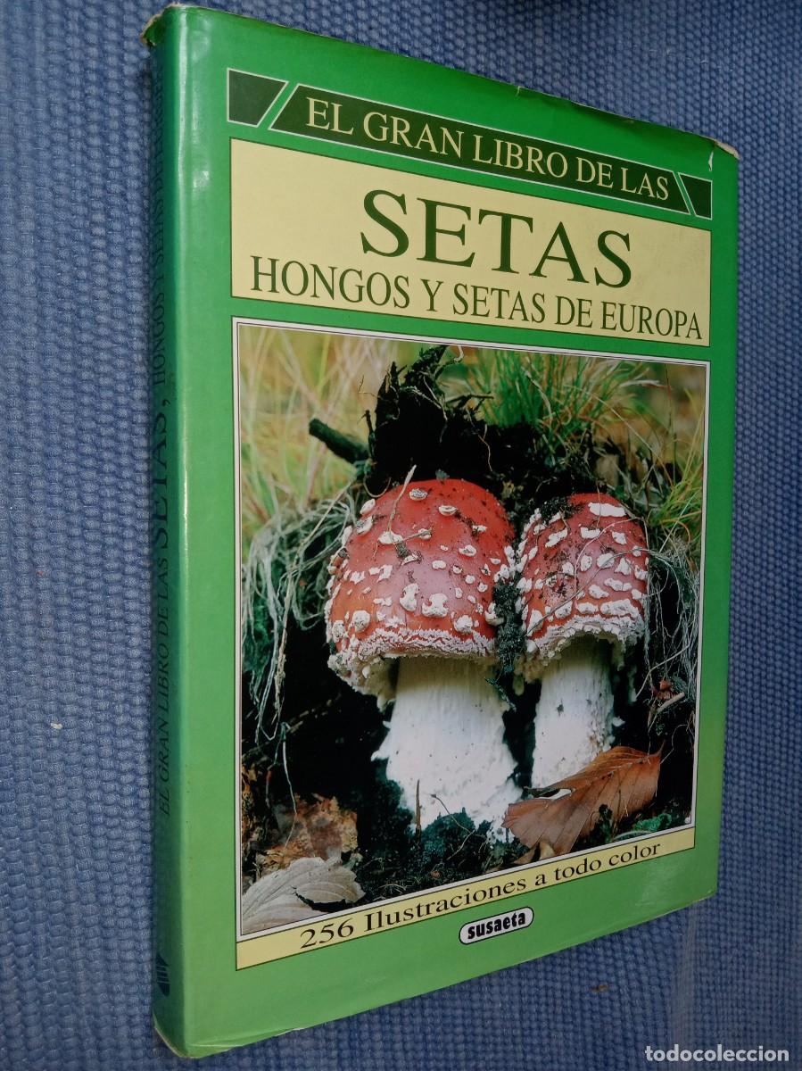 Libros de segunda mano: Hongos y setas de Europa