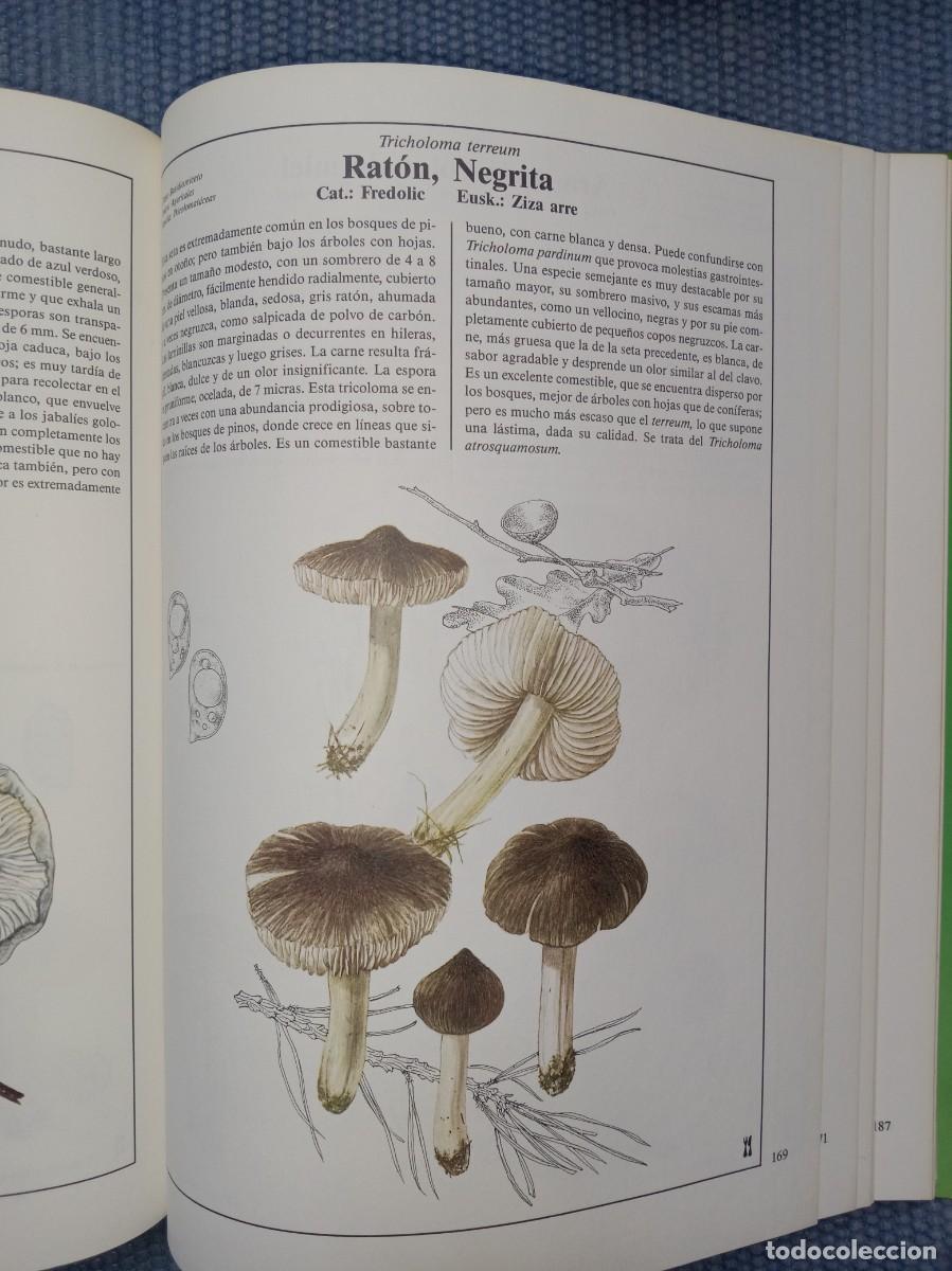 Libros de segunda mano: Hongos y setas de Europa - Foto 4