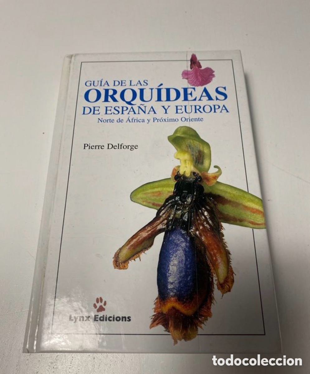 Libros de segunda mano: Gu&iacute;a Orqu&iacute;deas Espa&ntilde;a y Europa - Delforge - Lynx Edicions