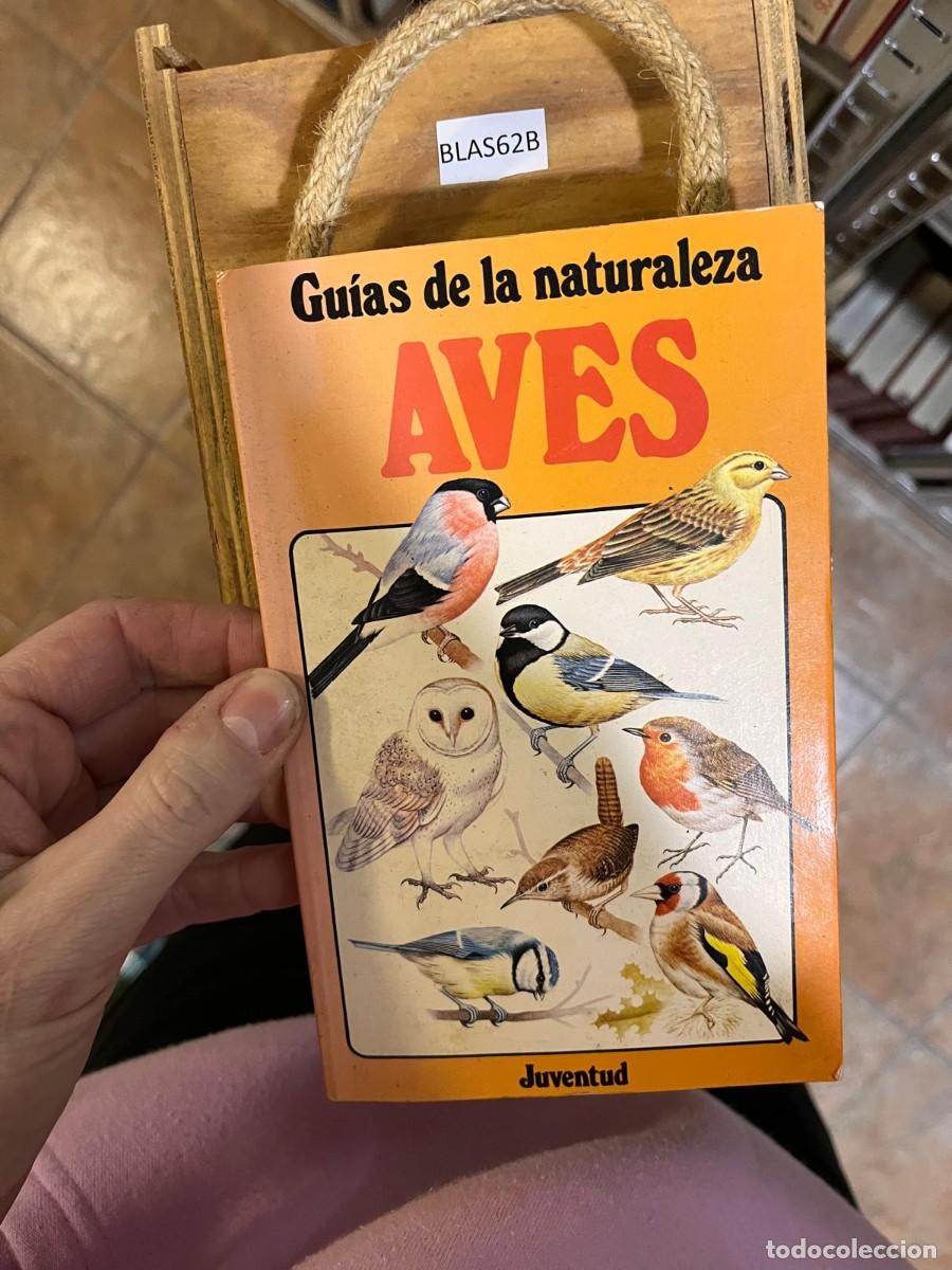 Libros de segunda mano: BLAS62B Gu&iacute;as de la naturaleza AVES