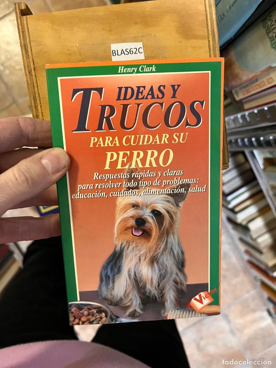Libros de segunda mano: BLAS62C Henry Clark IDEAS Y TRUCOS PARA CUIDAR SU PERRO Respuestas r&aacute;pidas y claras para resolv