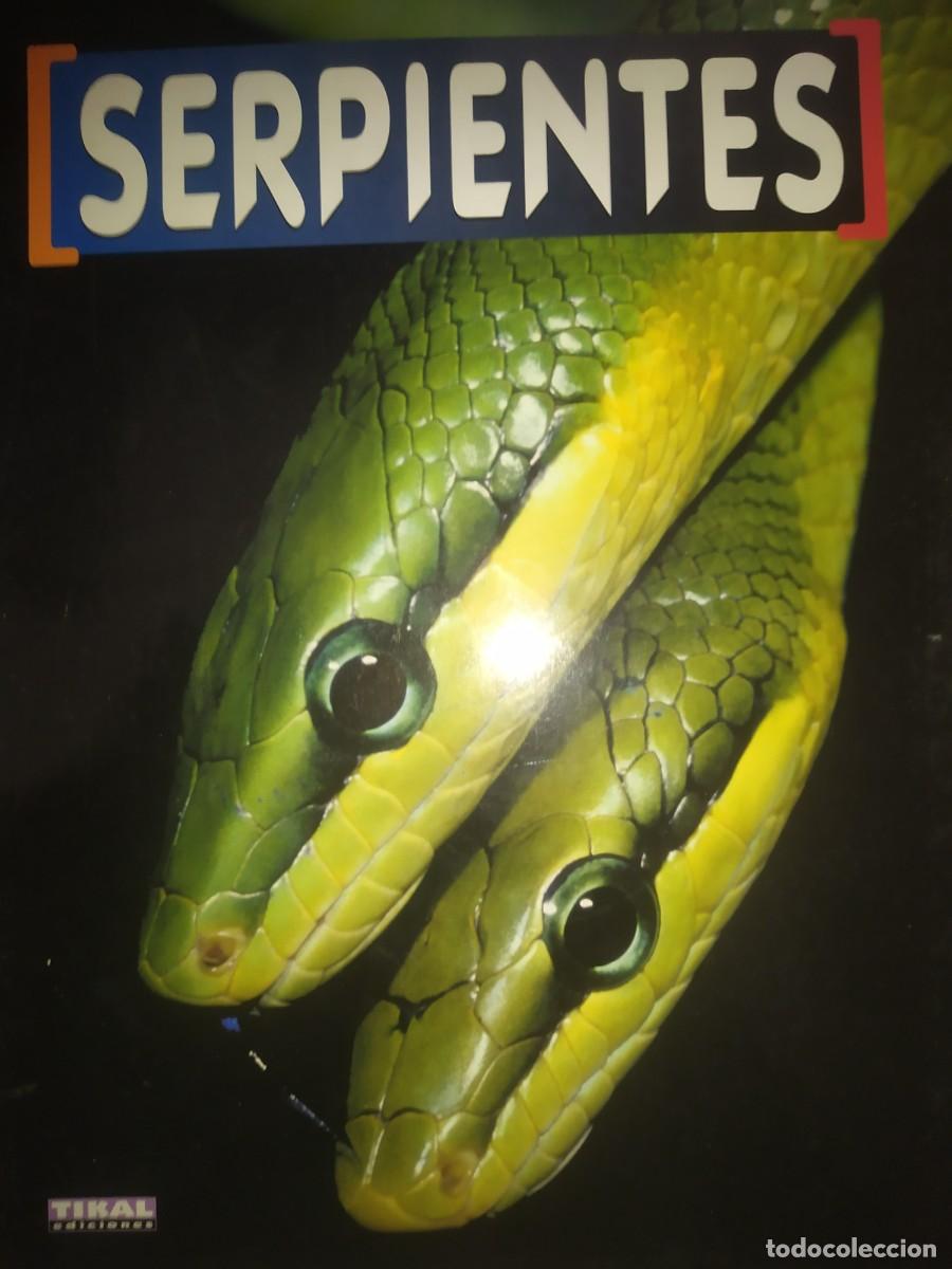 Libros de segunda mano: SERPIENTES. GRAN FORMATO. TIKAL - Foto 1