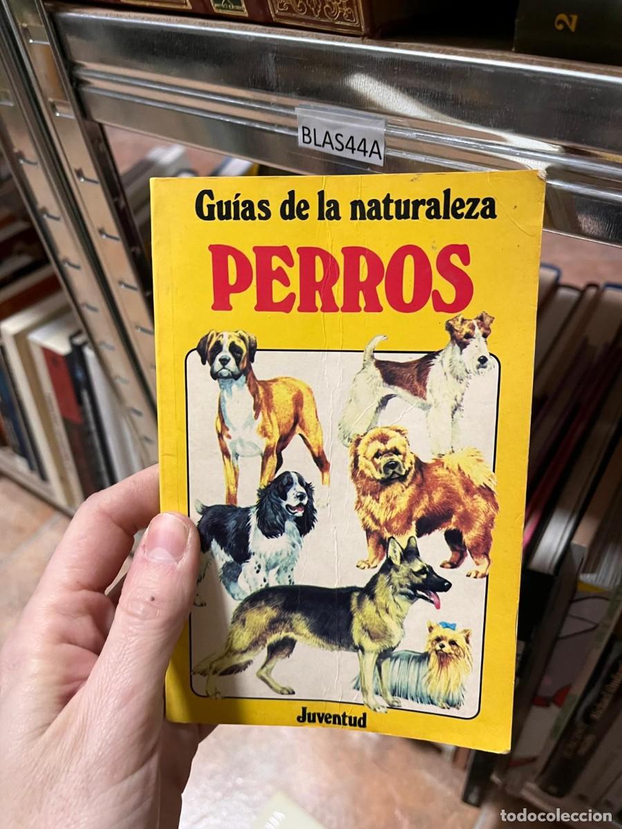 Libros de segunda mano: BLAS44A Gu&iacute;as de la naturaleza PERROS