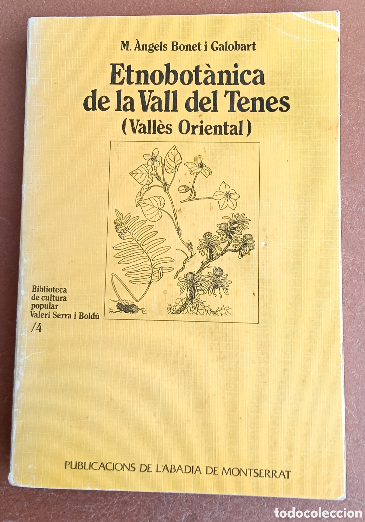 Libros de segunda mano: Etnobot&aacute;nica de la Vall del Tenes ( valles oriental)