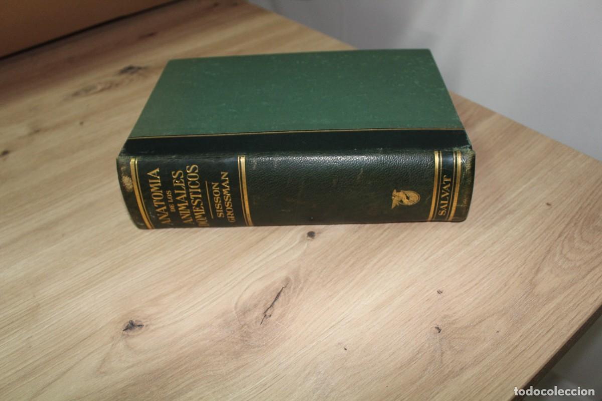 Libros de segunda mano: Anatom&iacute;a de los animales dom&eacute;sticos Sisson Grossman - Foto 3