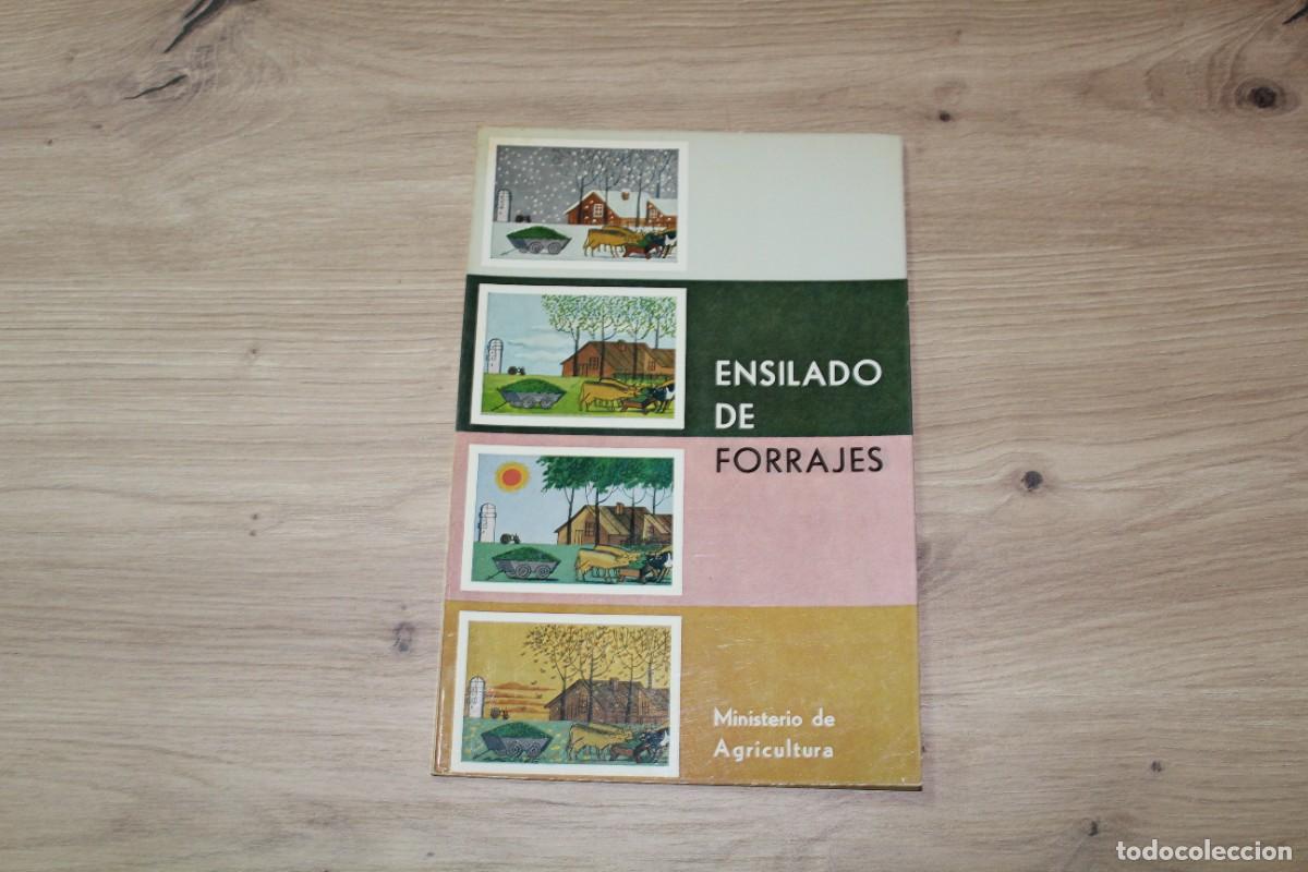 Libros de segunda mano: Ensilado de forrajes Jos&eacute; Garc&iacute;a Guti&eacute;rrez
