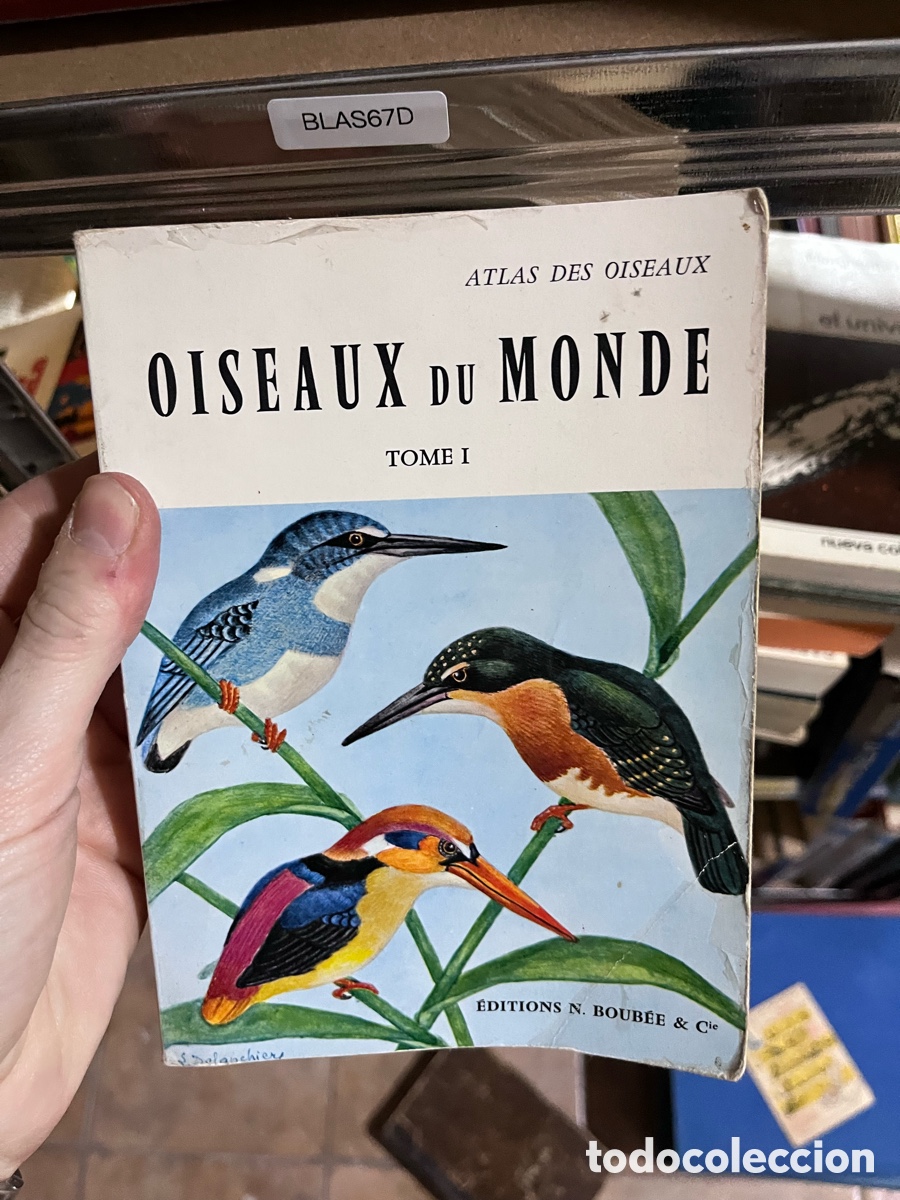 Libros de segunda mano: BLAS67D ATLAS DES OISEAUX OISEAUX DU MONDE TOME I (ilustraciones de aves preciosas)