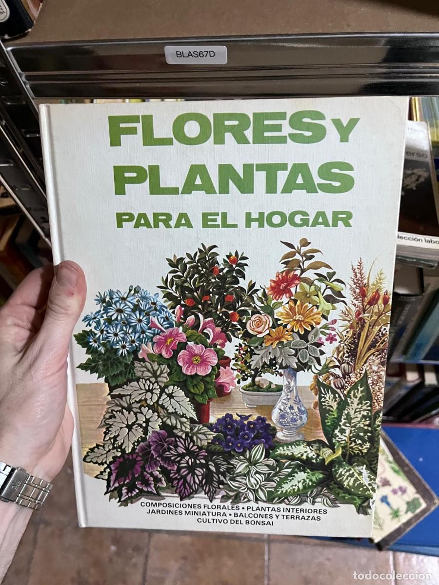 Libros de segunda mano: BLAS67D FLORES Y PLANTAS PARA EL HOGAR