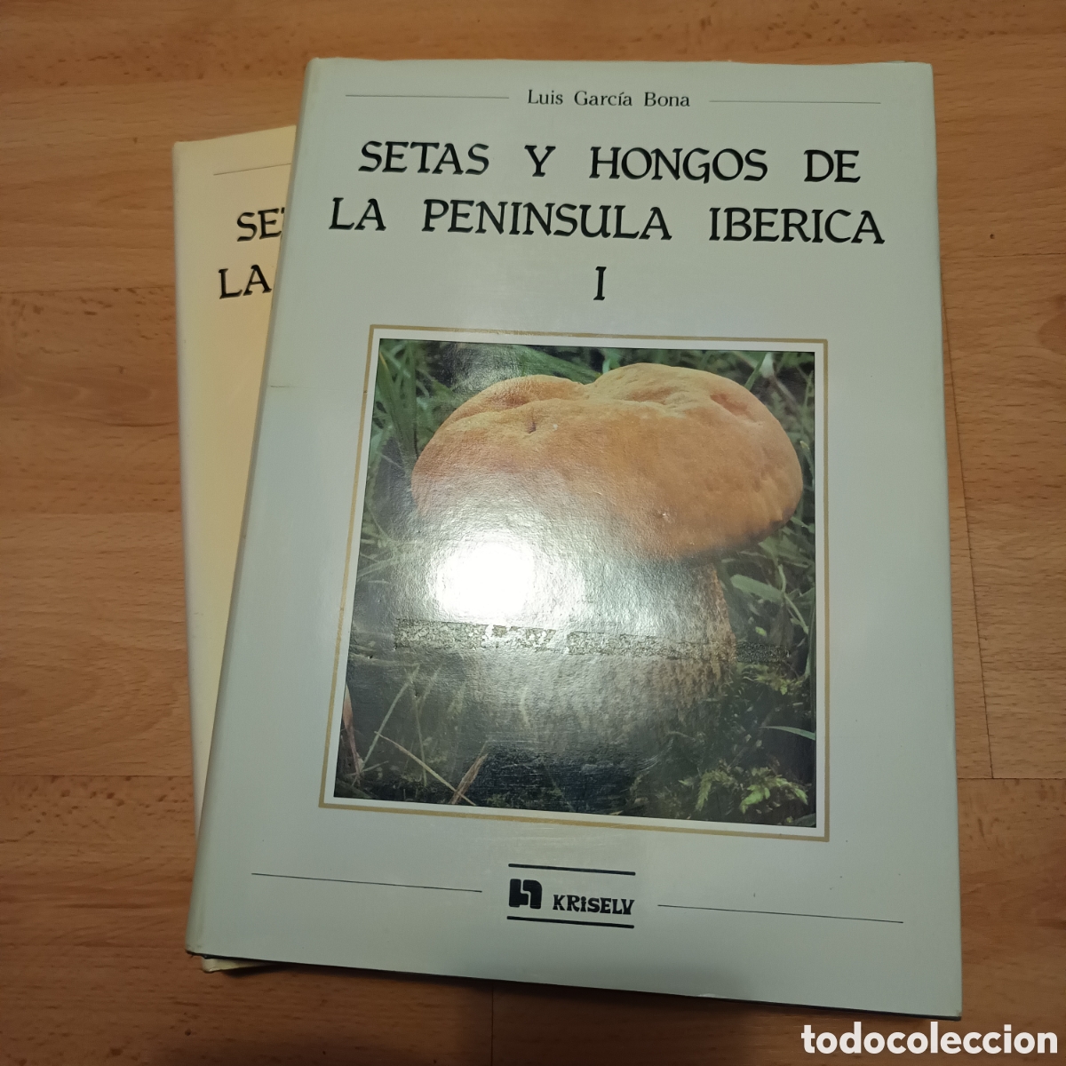 Gebrauchte B&uuml;cher: Setas y hongos de la pen&iacute;nsula ib&eacute;rica - Luis Garc&iacute;a Bona (2 tomos)