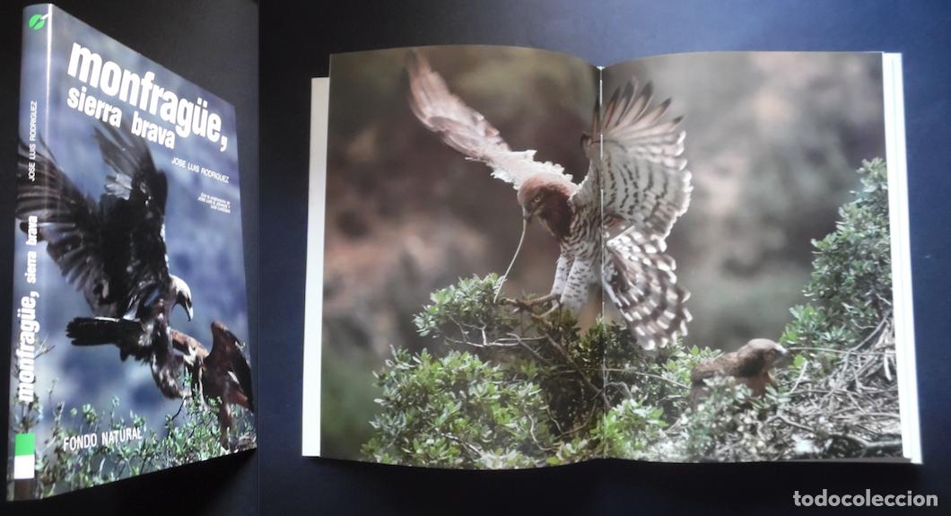 Libros de segunda mano: Monfrag&uuml;e, sierra brava, Jos&eacute; Luis Rodr&iacute;guez.Gran libro fotogr&aacute;fico del parque natural. Extremadura