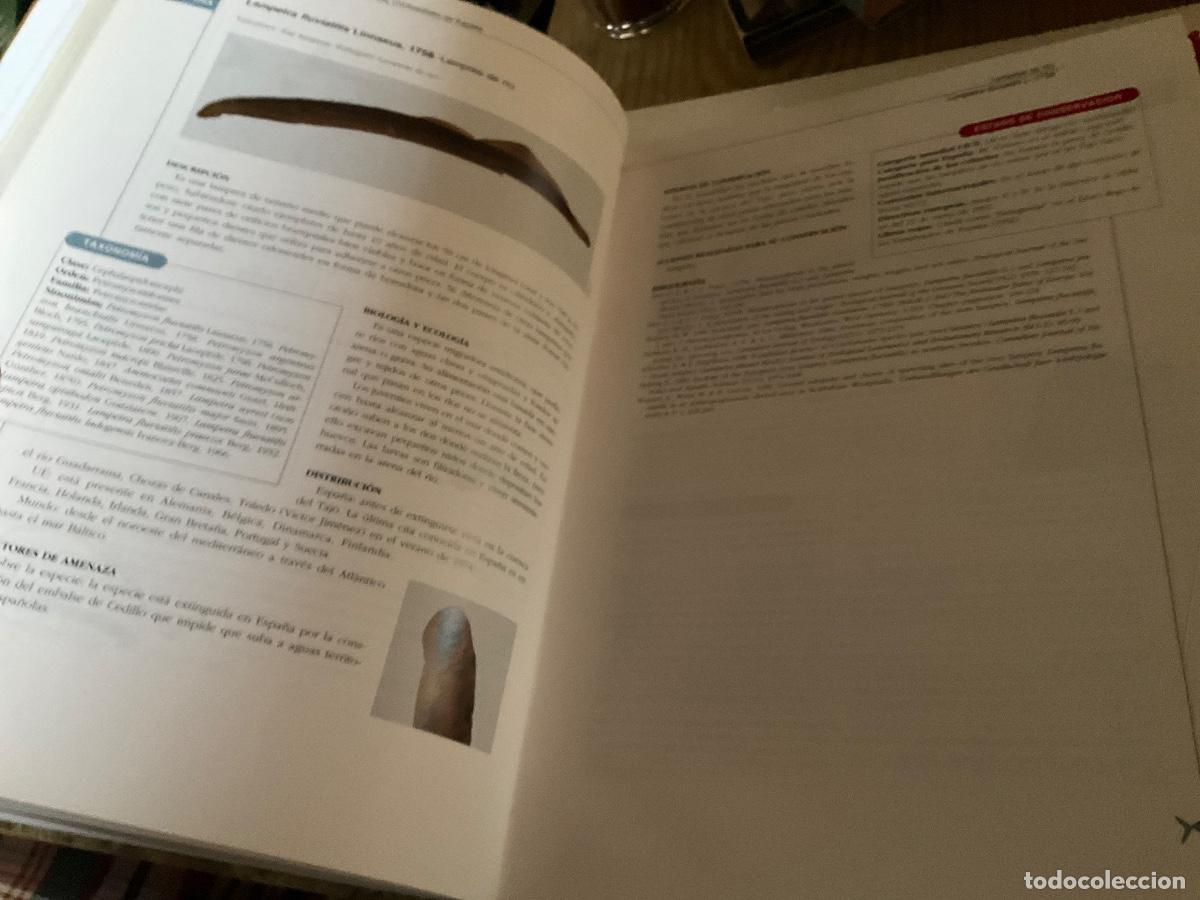 Libros de segunda mano: ATLAS Y LIBRO ROJO DE LOS PECES CONTINENTALES EN ESPA&Ntilde;A - Foto 2