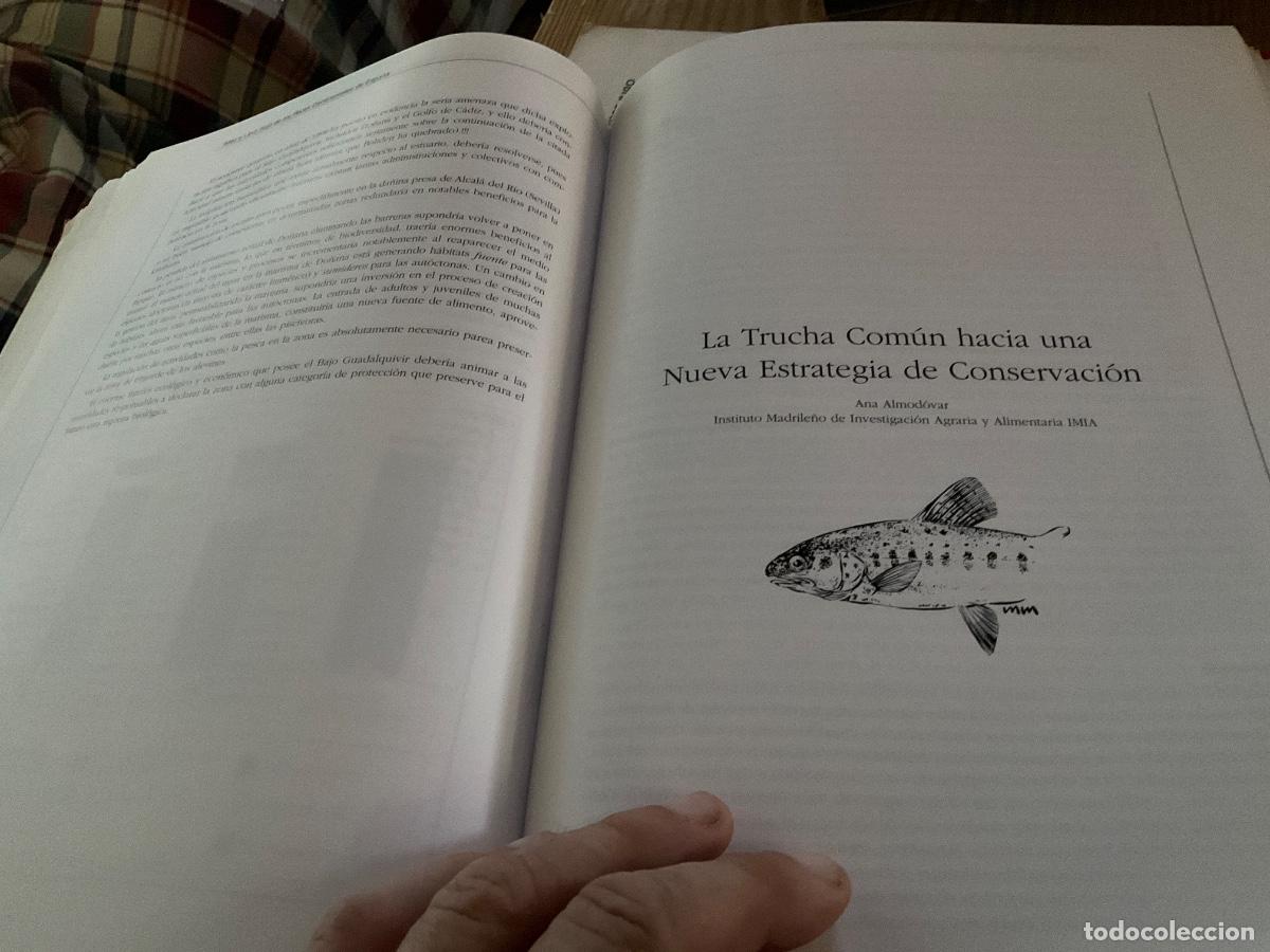 Libros de segunda mano: ATLAS Y LIBRO ROJO DE LOS PECES CONTINENTALES EN ESPA&Ntilde;A - Foto 4