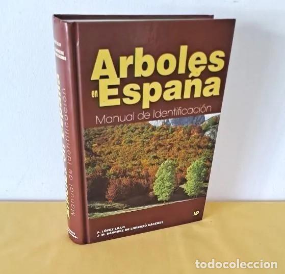Libros de segunda mano: A. L&Oacute;PEZ LILLO Y J. M. SANCHEZ DE LORENZO DE C&Aacute;CERES - ARBOLES EN ESPA&Ntilde;A, MANUAL DE IDENTIFICACI&Oacute;N
