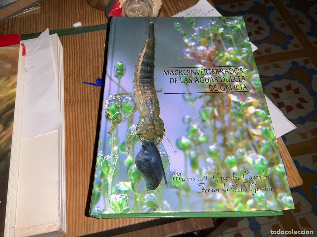 Libros de segunda mano: Macroinvertebrados de las aguas dulces de Galicia de Marcos A. Gonz&aacute;lez