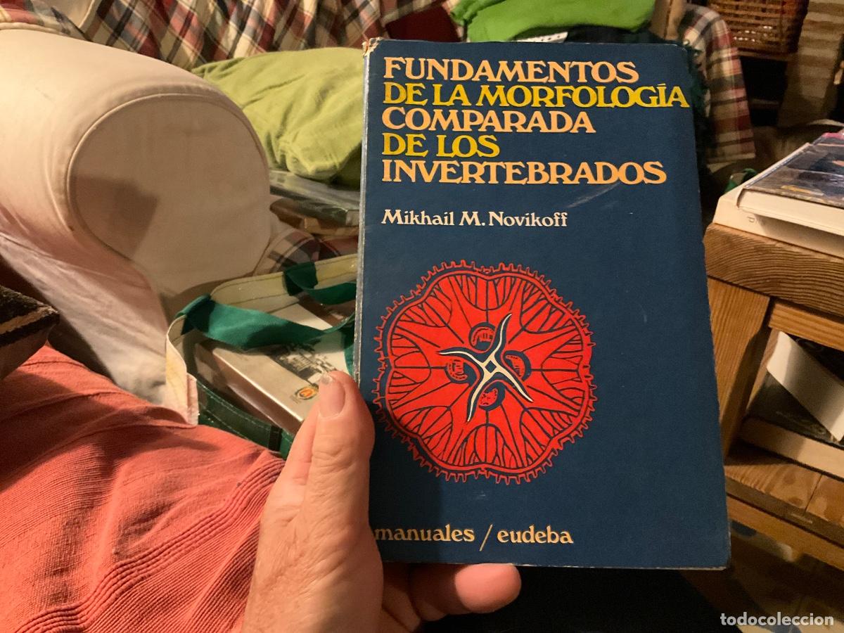 Libros de segunda mano: FUNDAMENTOS DE LA MORFOLOGIA COMPARADA DE LOS INVERTEBRADOS. (1976) M.M. NOVIKOFF
