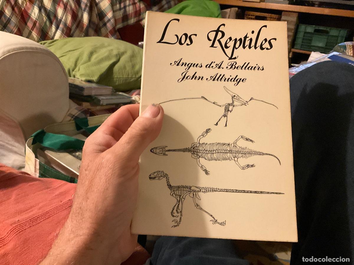 Libros de segunda mano: Los reptiles - Bellairs, Angus dA./Attridge, John - Foto 1