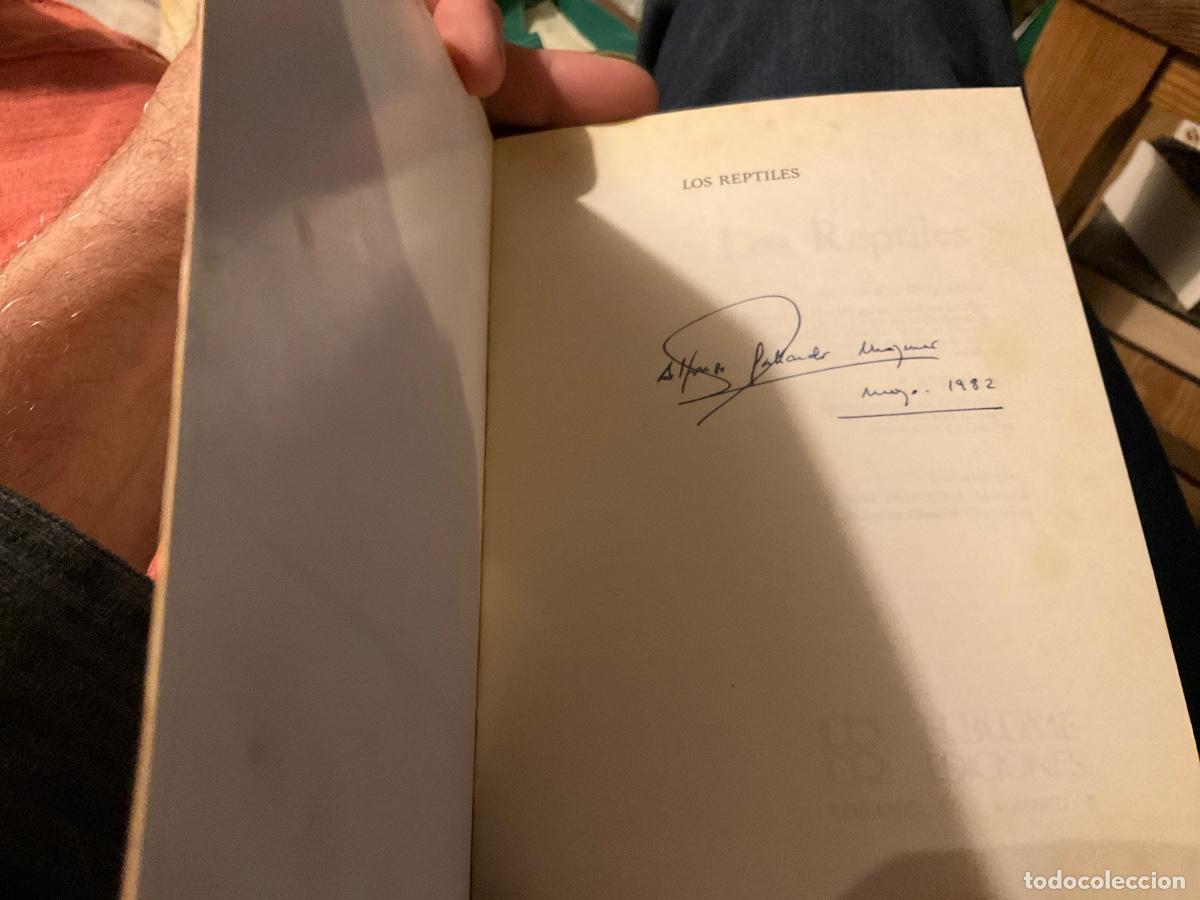 Libros de segunda mano: Los reptiles - Bellairs, Angus dA./Attridge, John - Foto 2