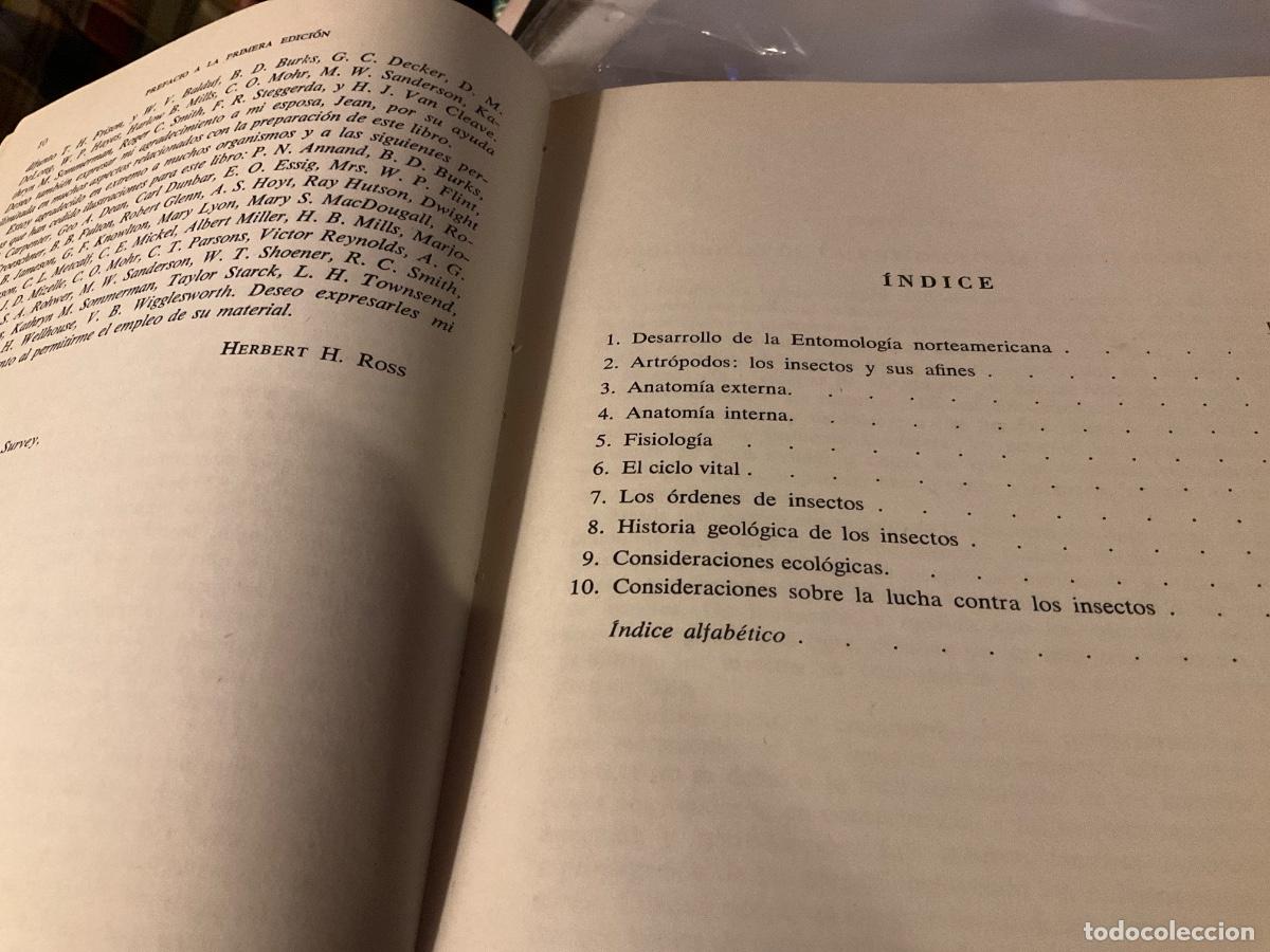 Libros de segunda mano: INTRODUCCI&Oacute;N A LA ENTOMOLOG&Iacute;A GENERAL Y APLICADA - ROSS, HERBERT H. - Foto 4