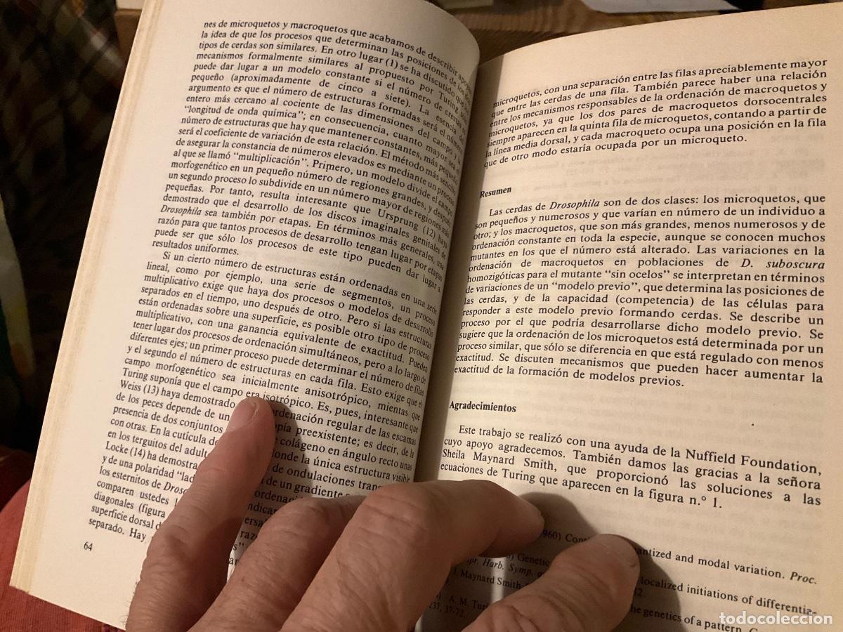Libros de segunda mano: Acerca de la evoluci&oacute;n - Maynard Smith, J. - Foto 4