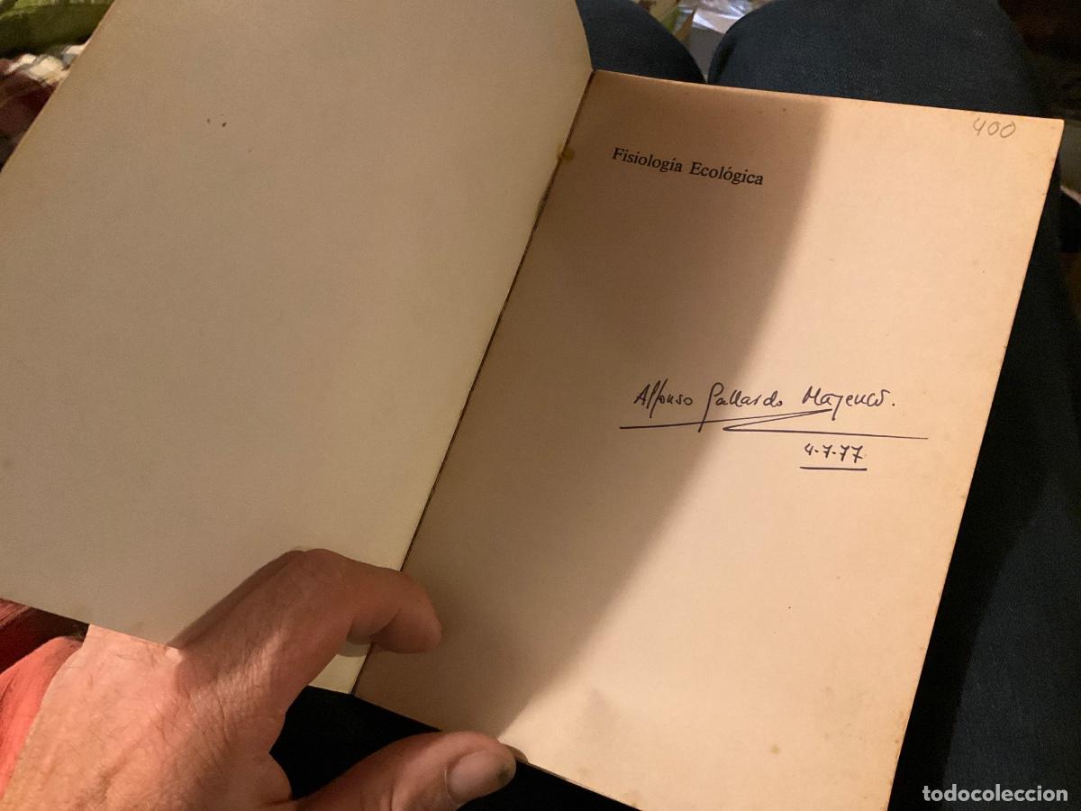 Libros de segunda mano: Fisiolog&iacute;a Ecol&oacute;gica - John Phillips - Ediciones Hiperi&oacute;n - Foto 2