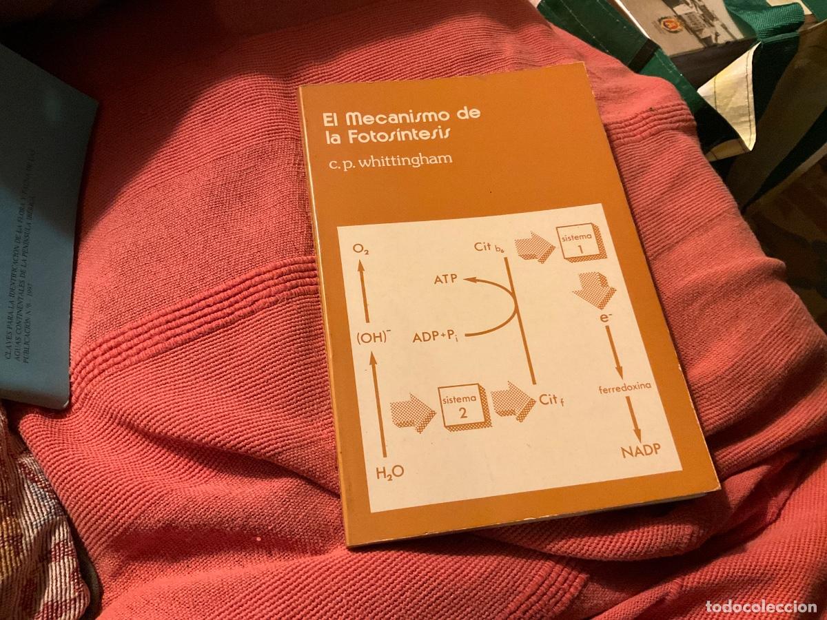 Libros de segunda mano: EL MECANISMO DE LA FOTOS&Iacute;NTESIS. C.P. WHITTINGHAM