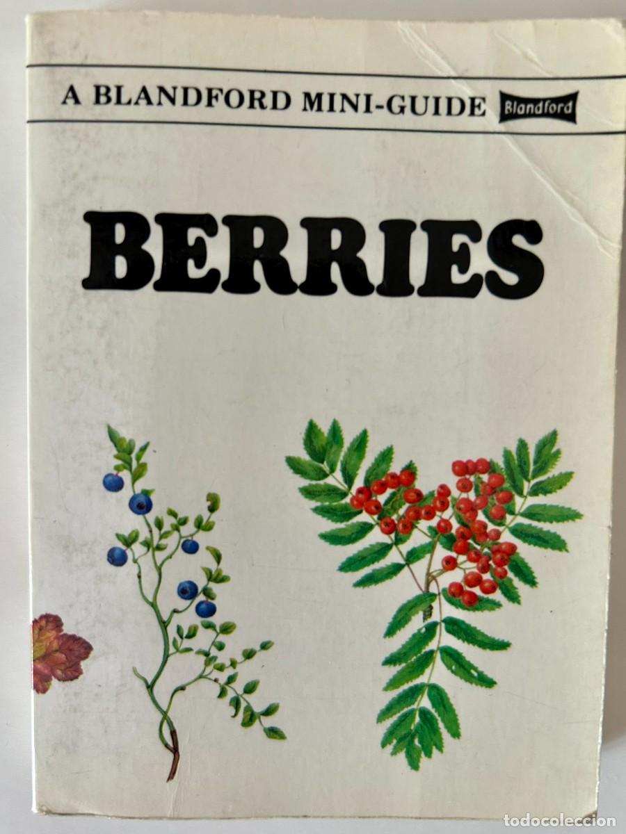 Libros de segunda mano: BERRIES - A BLANDFORD MINI-GUIDE - SIXTY SPECIES OF BRITISH BERRIES - FULL COLOUR