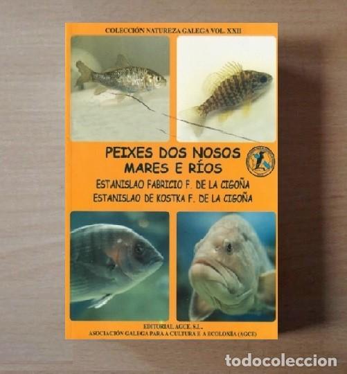 Libros de segunda mano: PEIXES DOS NOSOS MARES E RIOS. FAUNA MARINA. GALICIA.