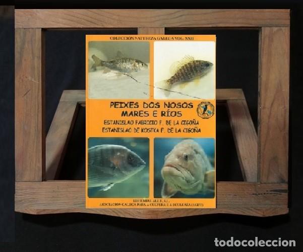 Libros de segunda mano: �F1431 - PEIXES DOS NOSOS MARES E RIOS. FAUNA MARINA. GALICIA.