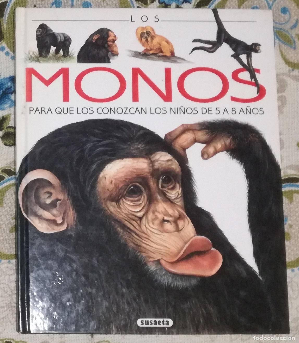 Libros de segunda mano: Perros. Biblioteca visual Altea
