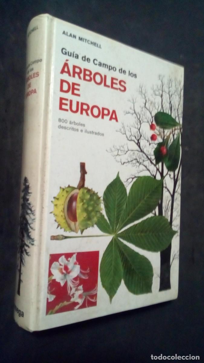 Libros de segunda mano: GUIA DE CAMPO DE LOS &Aacute;RBOLES DE EUROPA. ALAN MICHEL (OMEGA)-COMO NUEVO