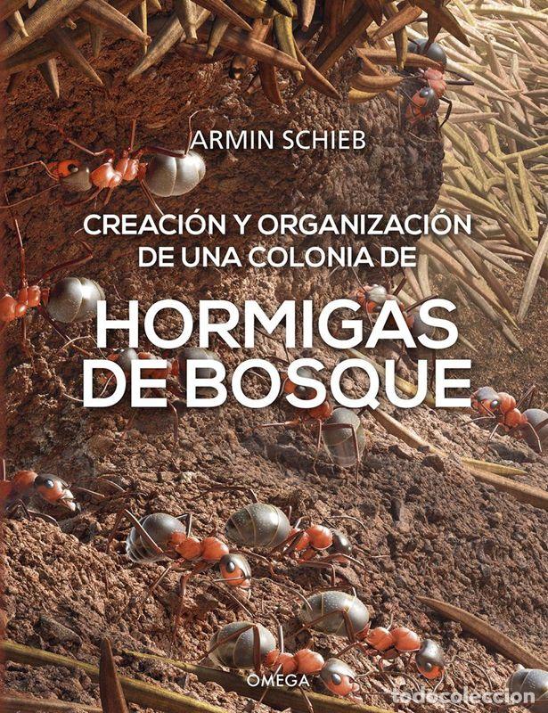 Libros de segunda mano: HORMIGAS DE BOSQUE. - SCHIEB, ARMIN. - Foto 1