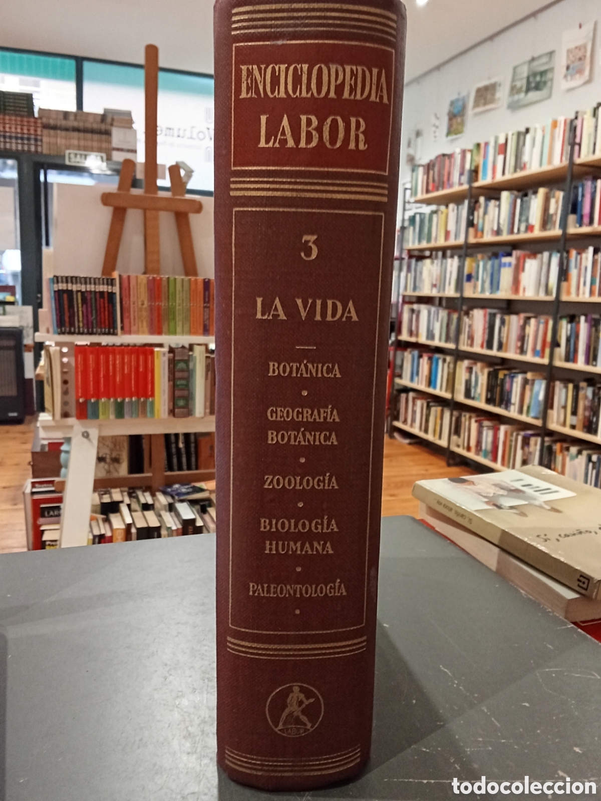 Libros de segunda mano: La vida Tomo 3 Editorial Labor
