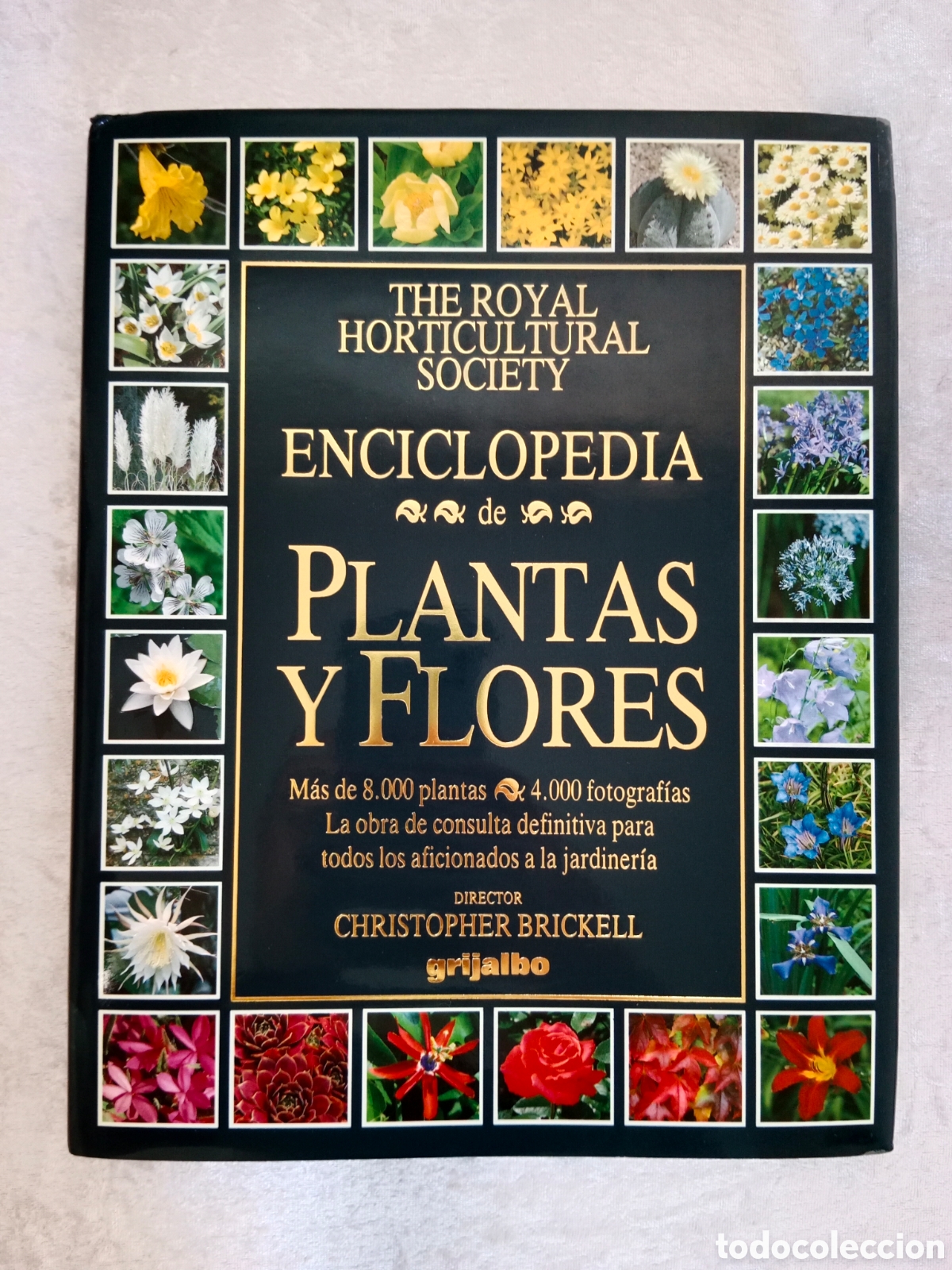 Libros de segunda mano: ENCICLOPEDIA DE PLANTAS Y FLORES, CHRISTOPHER BRICKELL , THE ROYAL HORTICULTURAL SOCIETY