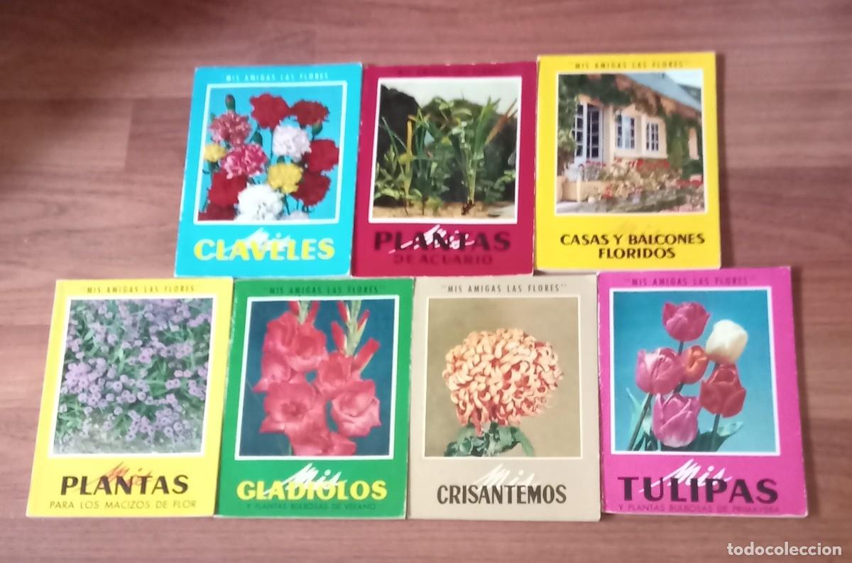 Libros de segunda mano: lote 7 libros: Mis amigas las flores - gustavo Gili