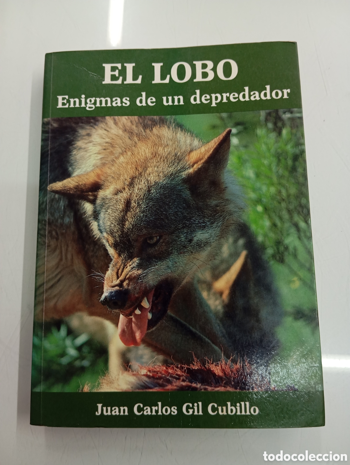 Libros de segunda mano: EL LOBO. ENIGMAS DE UN DEPREDADOR. JUAN CARLOS GIL CUBILLO ILUSTRADO CAZA PASTOREO MATANZAS