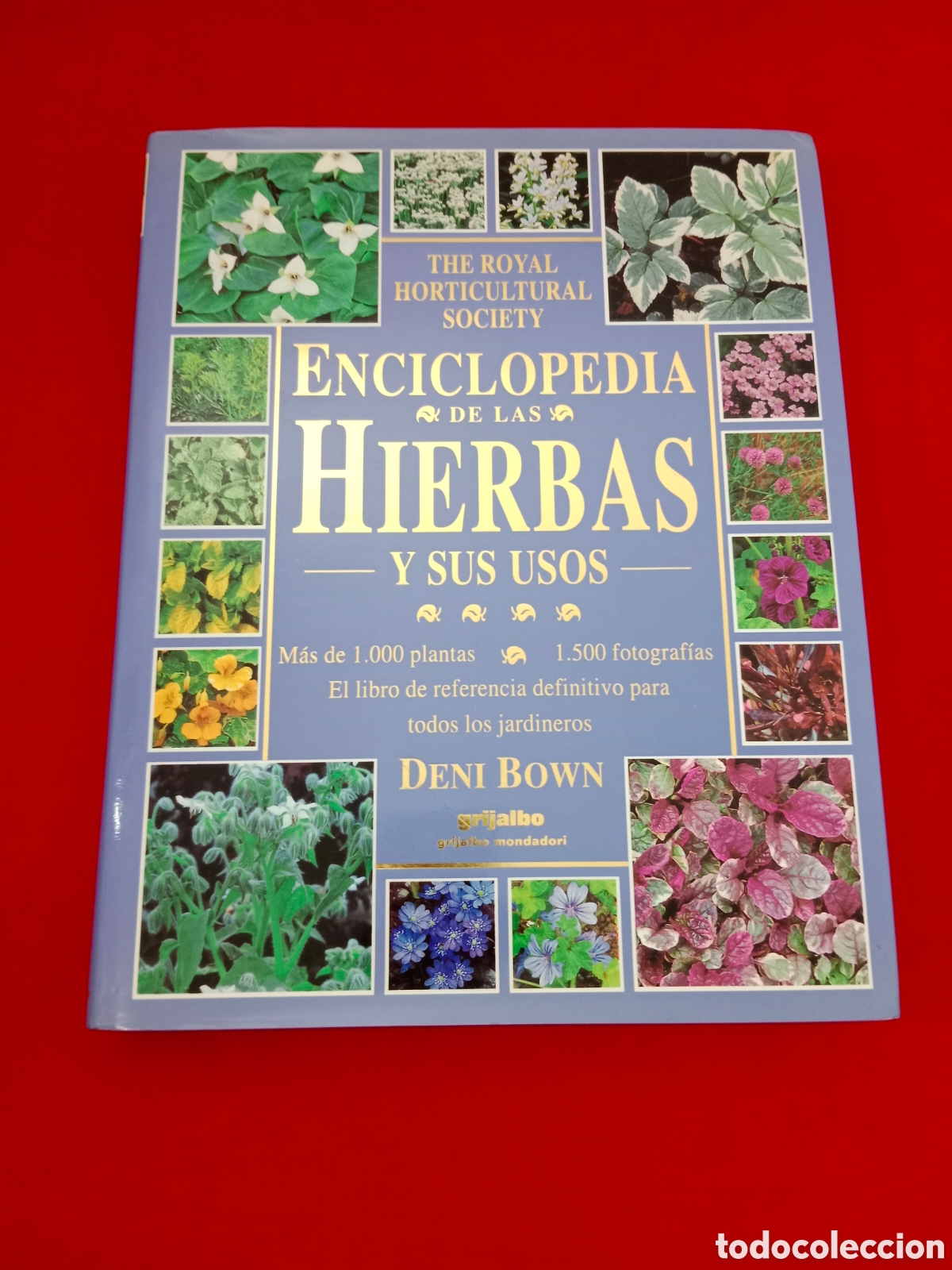 Libros de segunda mano: ENCICLOPEDIA DE LAS HIERBAS Y SUS USOS, DENI BOWN, THE ROYAL HORTICULTURAL SOCIETY
