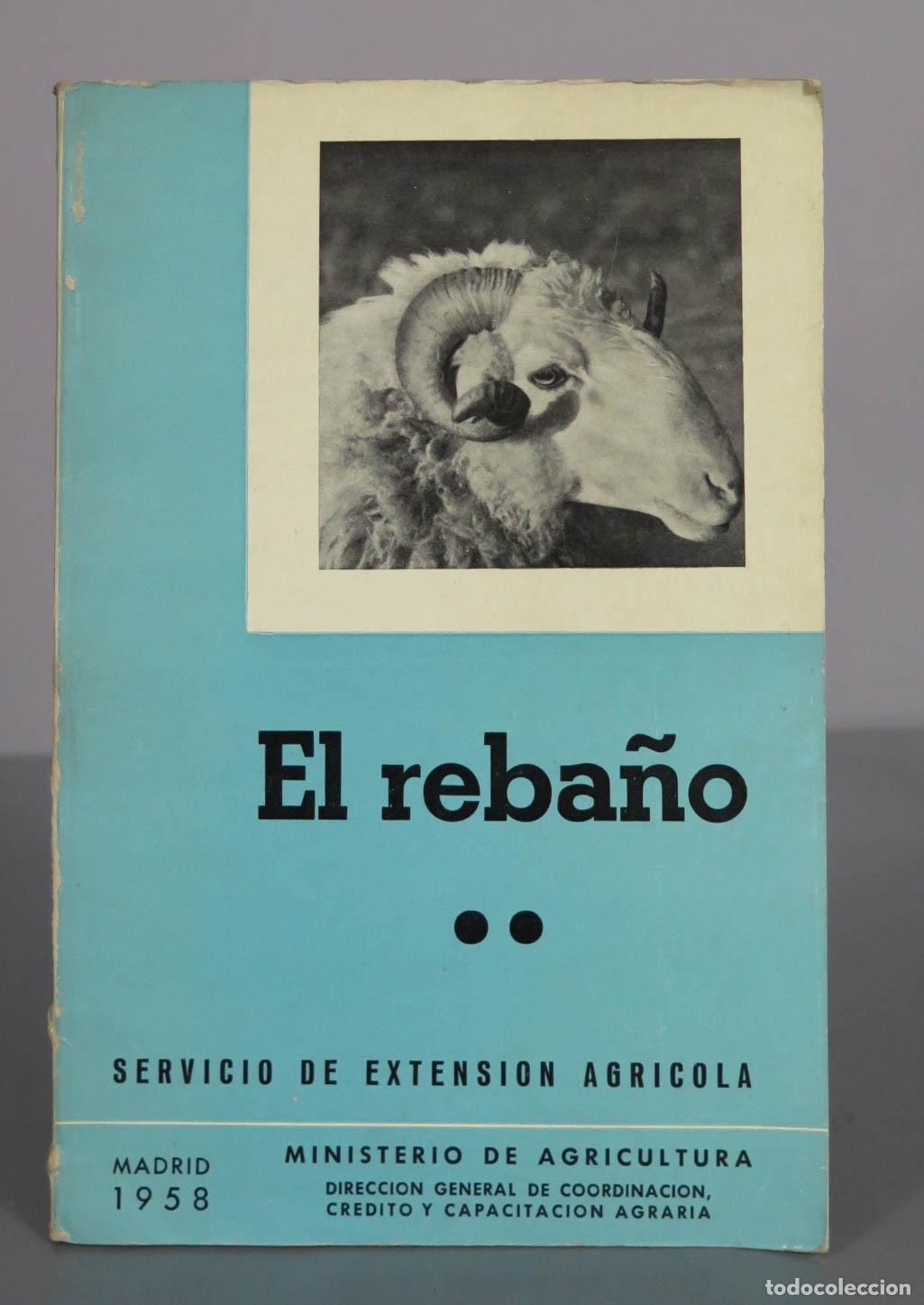 Libros de segunda mano: El reba&ntilde;o - Antonio S&aacute;nchez Belda - Ministerio de Agricultura