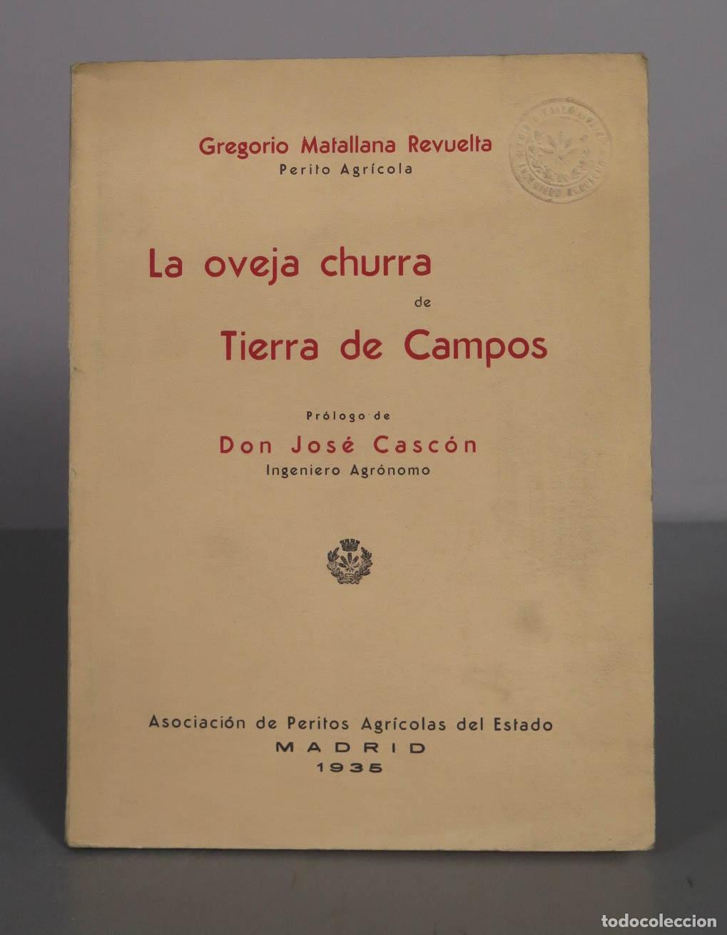 Libros de segunda mano: La oveja churra de Tierra de Campos - Gregorio Matallana Revuelta - Asociaci&oacute;n de Peritos Agr&iacute;colas