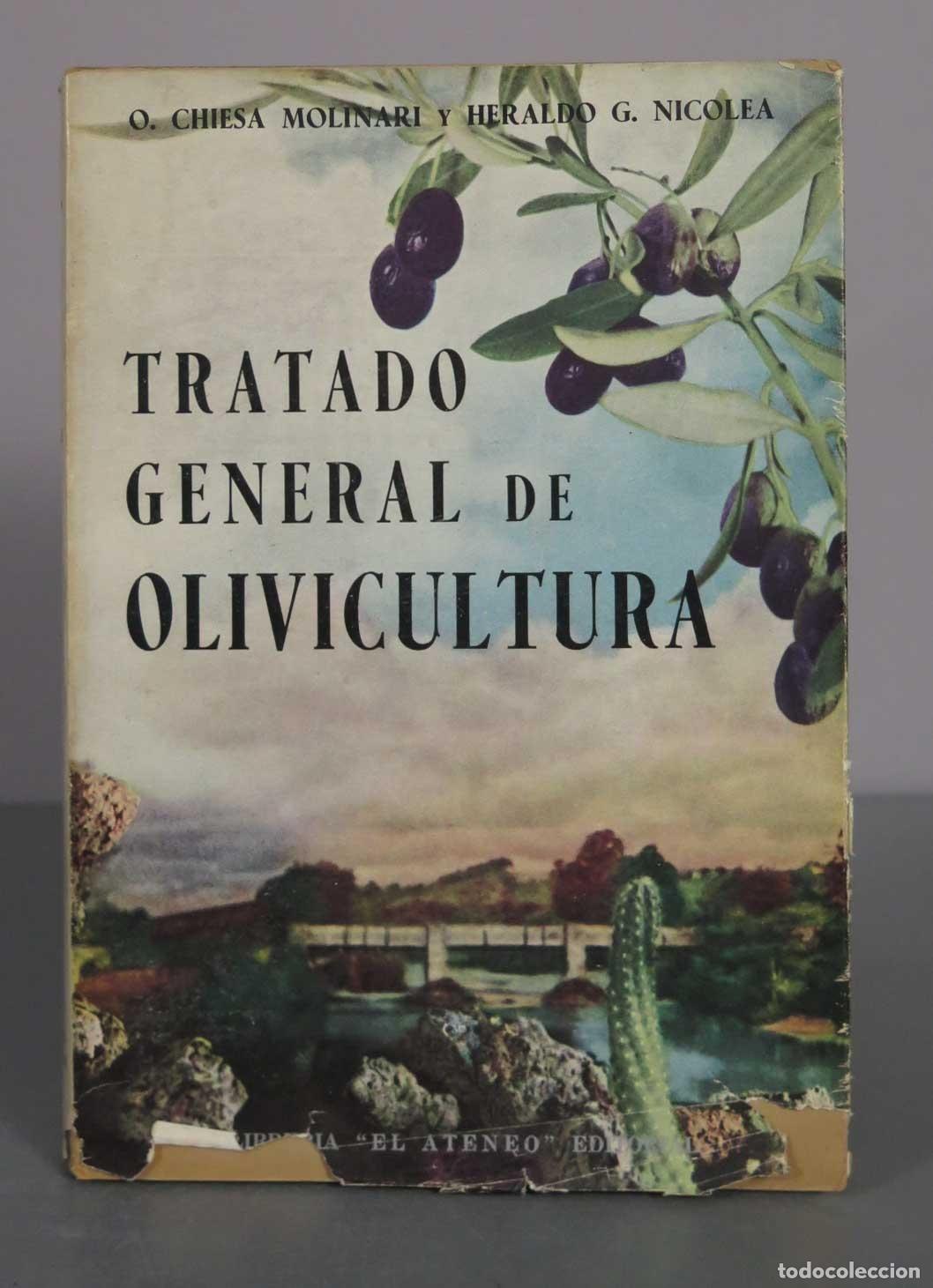 Libros de segunda mano: Tratado General de Olivicultura MOLINARI