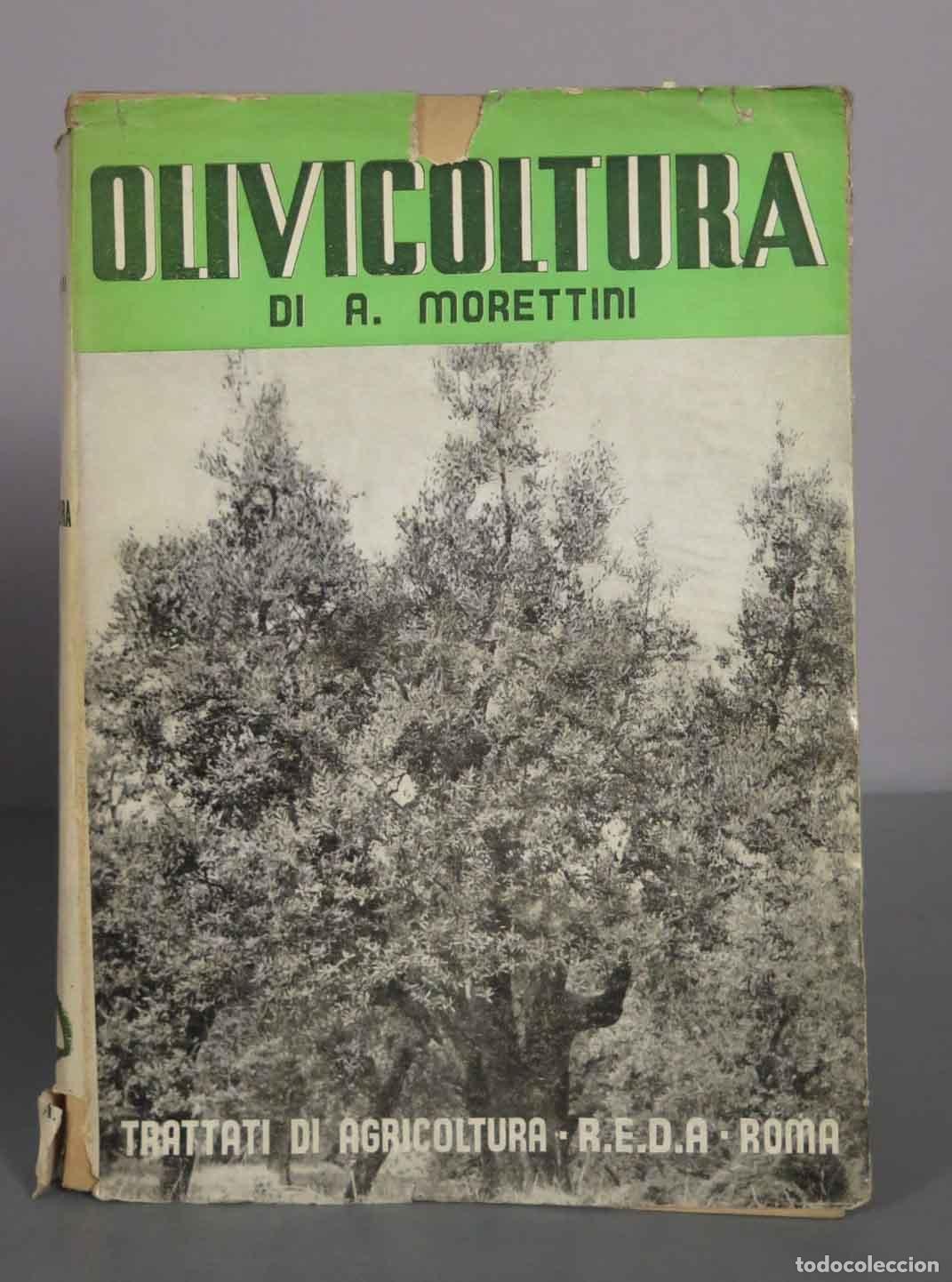 Libros de segunda mano: Olivicoltura - A. Morettini - R.E.D.A.