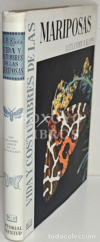 Libros de segunda mano: KLOTS, Alexander B. Vida y costumbres de las mariposas. Traducci&oacute;n de Pedro Art&eacute;. Con dibujos, 64 l&aacute;