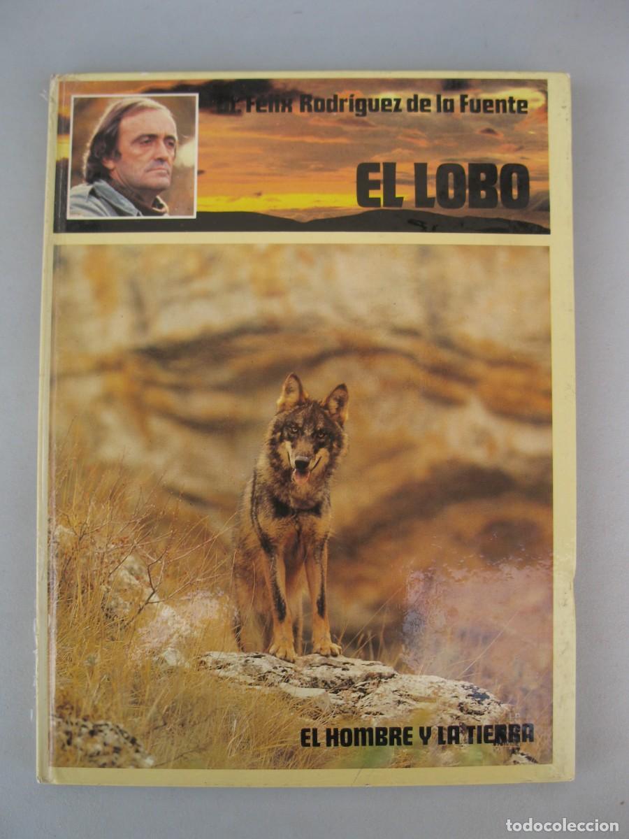 Libros de segunda mano: EL LOBO - F&Eacute;LIX RODR&Iacute;GUEZ DE LA FUENTE - EL HOMBRE Y LA TIERRA - CIRCULO DE LECTORES - A&Ntilde;O 1979.
