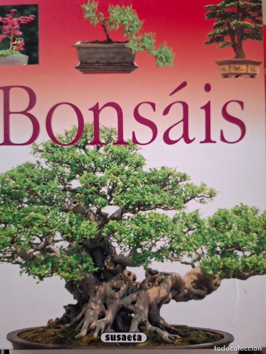 Libros de segunda mano: el arte del bons&aacute;i vv aa