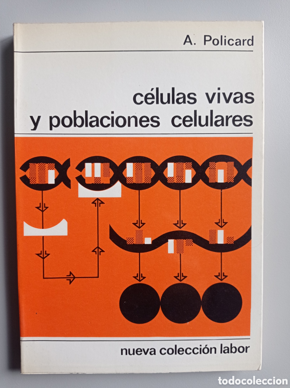 Libros de segunda mano: C&Eacute;LULAS VIVAS Y POBLACIONES CELULARES. POLICARD.. NUEVA COLECCI&Oacute;N LABOR.
