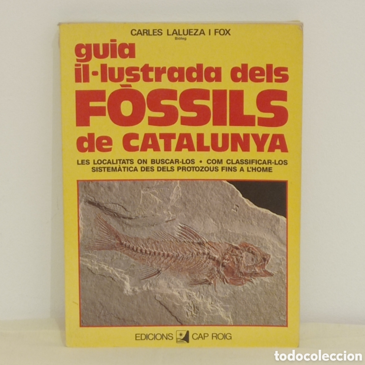 Libros de segunda mano: C.LALUEZA i FOX, GUIA IL.LUSTRADA DELS F&Ograve;SSILS (DE VECCHI 1988 BARCELONA)