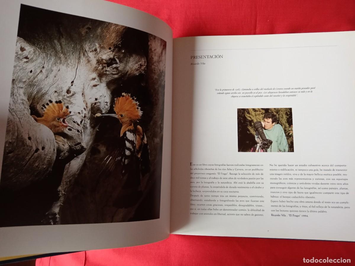 Libros de segunda mano: SIETE A&Ntilde;OS CON LAS AVES. RICARDO VILA. EDIT DARANA 1995. - Foto 4