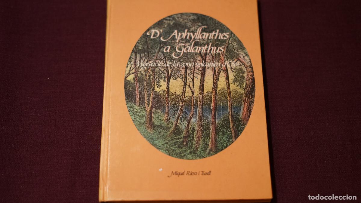 Libros de segunda mano: Miquel Riera i Tusell - D'Aphyllantes a Galanthus - Vegetaci&oacute; de la zona volc&aacute;nica de Olot