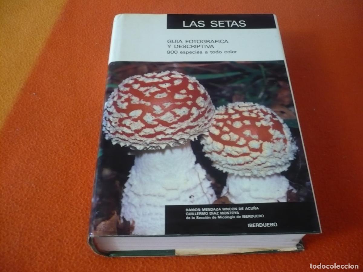 Libros de segunda mano: LAS SETAS GUIA FOTOGRAFICA Y DESCRIPTIVA 800 ESPECIES A TODO COLOR ( MENDAZA DIAZ) IBERDUERO HONGOS
