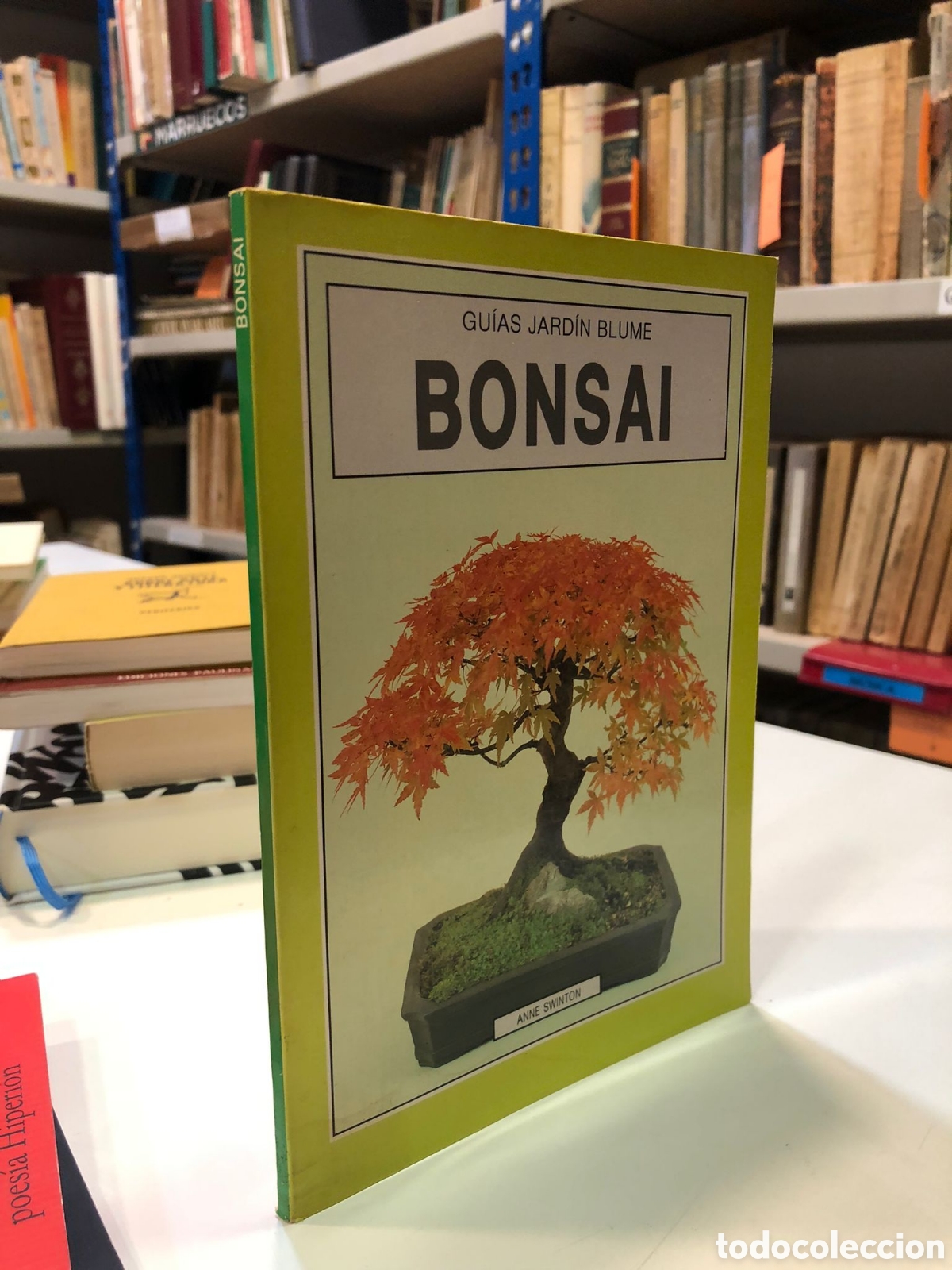 Libros de segunda mano: Bonsai - Anne Swinton - Foto 1