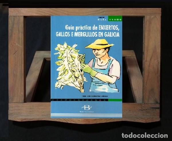 Libros de segunda mano: �F3707 - ENXERTOS GALLOS E MERGULLOS EN GALICIA. GUIA PRACTICA. INJERTOS. HUERTO. PLANTAS.